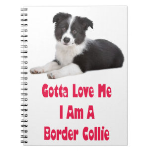 Carnet Collie noire et blanche Revue des Chiens coquelico
