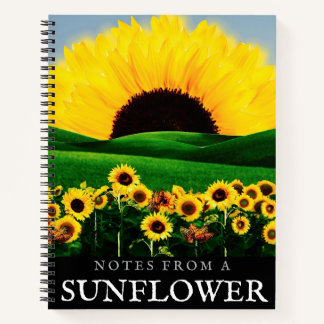 CARNET COLLINE DU SOL