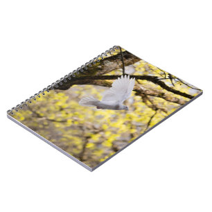 Carnet Colombe blanche mignonne Pigeon Symbole d'amour et