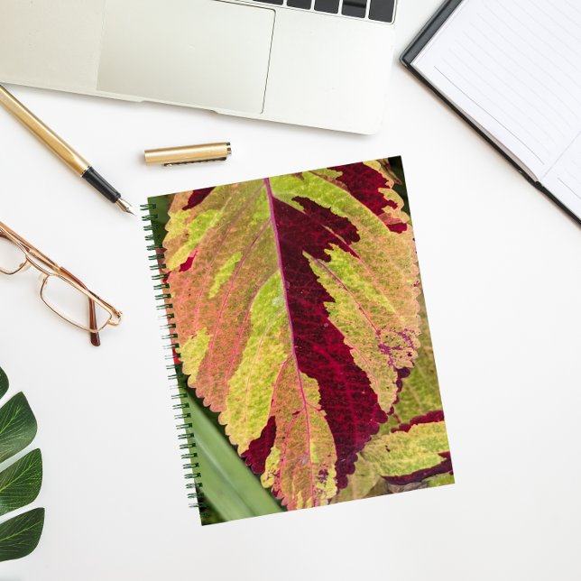 Carnet Coloré Coleus Plante feuille Floral (In Situ)