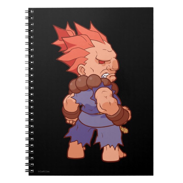 Carnet Combattant Akuma 2 de poche (Devant)