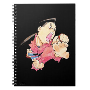 Carnet Combattant superbe II Turbo Dan 2 de puzzle