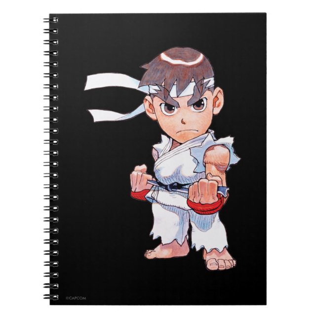 Carnet Combattant superbe II Turbo Ryu de puzzle (Devant)