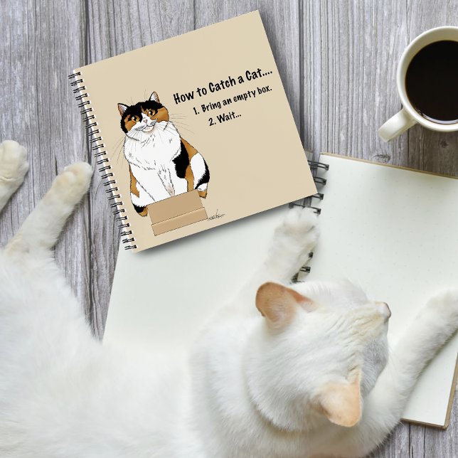 Carnet Comment attraper un chat (Créateur téléchargé)