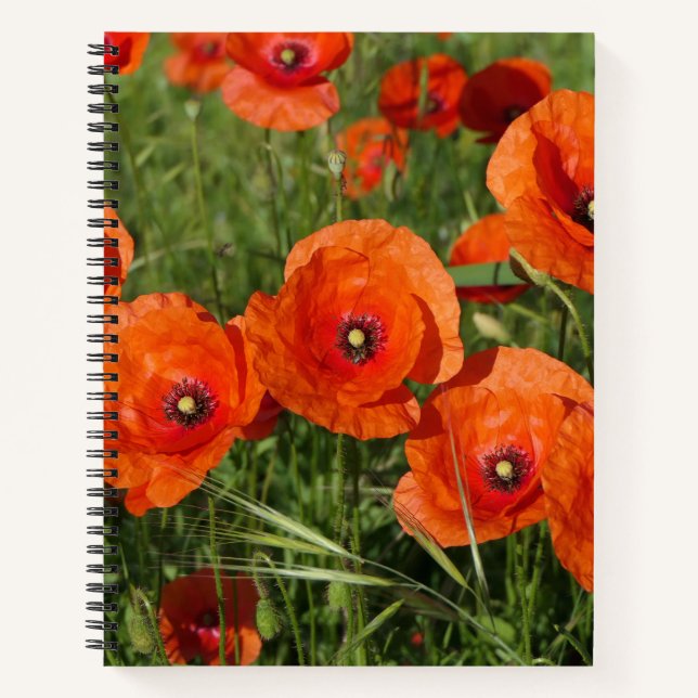 Carnet Common Poppies  (Devant)