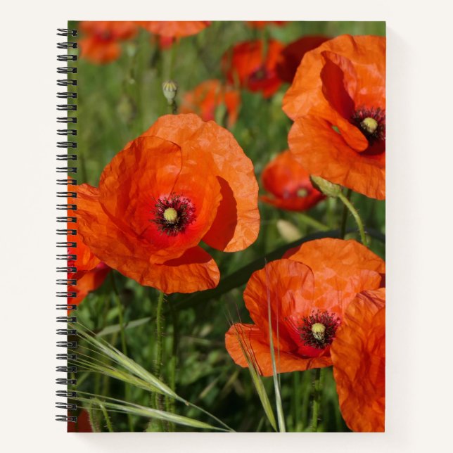 Carnet Common Poppies  (Devant)
