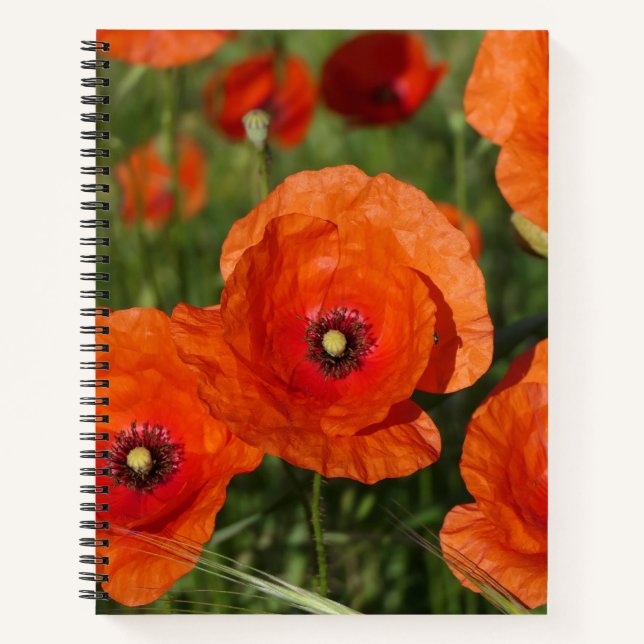 Carnet Common Poppies  (Devant)