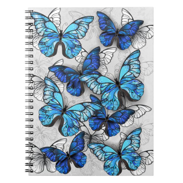 Carnet Composition des White and Blue Butterflies (Devant)
