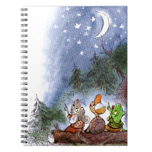 Carnet Compter les étoiles