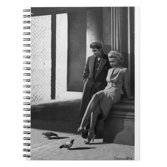 Carnet CON19BWD1 Birds of a Feather .tif (Devant)