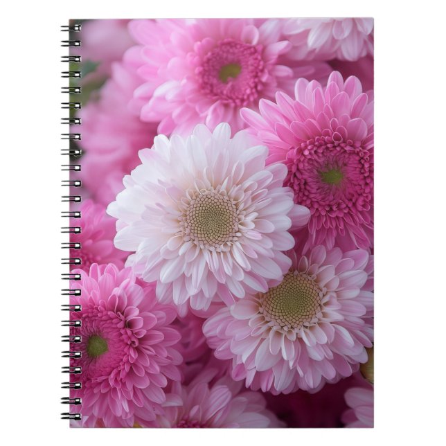 Carnet Conception artistique MS (Devant)