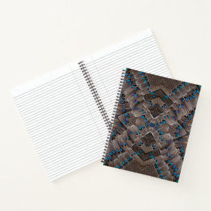 Carnet Conception de fractale Plume de Faisan