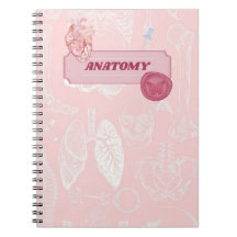 Conception esthétique d'anatomie rose pour étudian