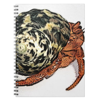Carnet Conception pourpre de bernard l'ermite de Pincher