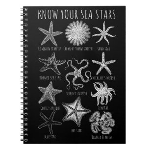 Carnet Connaissez vos étoiles de mer - Groupes Starfish