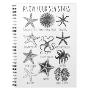Carnet Connaissez vos étoiles de mer - Groupes Starfish