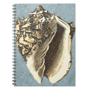 Carnet Conque délavée Shell
