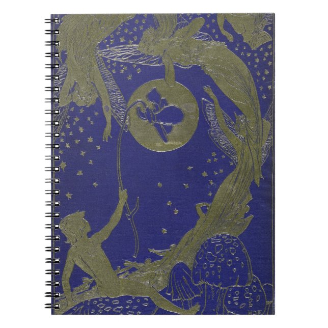 Carnet Conte de fées féerique bleu d'imaginaire de (Devant)
