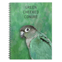 Conure verte à mâcher - bel oiseau