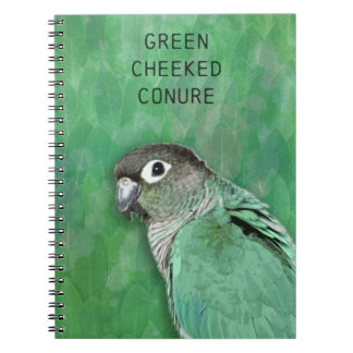 Carnet Conure verte à mâcher - bel oiseau