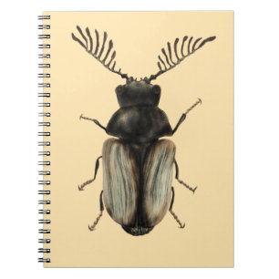 Carnet Cool dendroctone insecte amant entomologie art