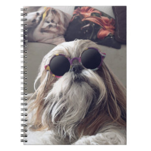 Carnet Cool Shih Tzu cheveux longs Lunettes de soleil vin