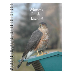 Carnet Coopers Hawk