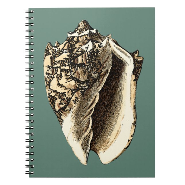 Carnet Coque conique turquoise (Devant)