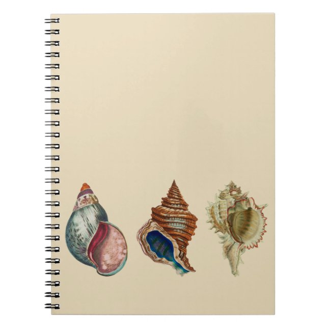 Carnet Coques vintages (Devant)