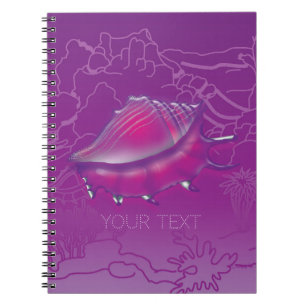 Carnet Coquillage
