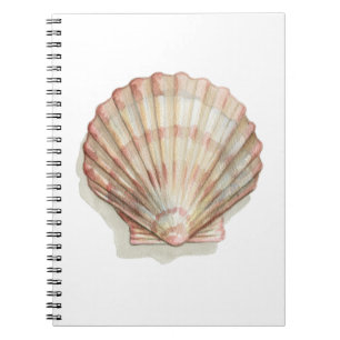 Carnet Coquillage rose et crème