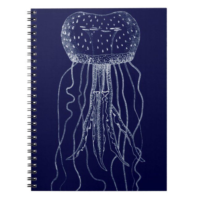 Carnet Coquillages blancs et bleus (Devant)