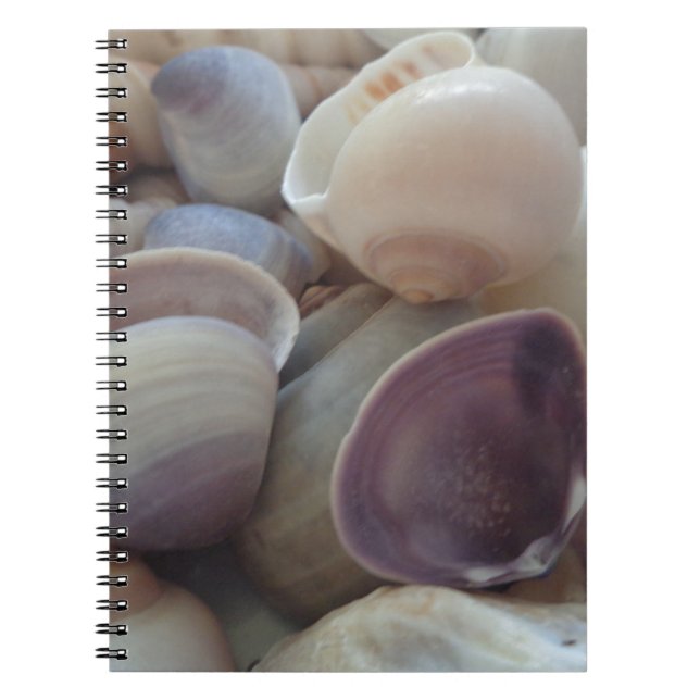 Carnet Coquillages d'été ensoleillés, Sea Shell Beach Océ (Devant)
