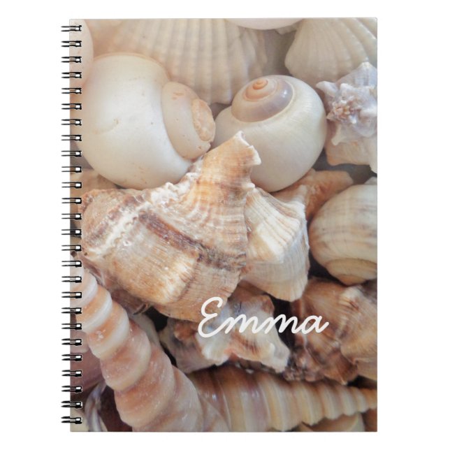 Carnet Coquillages d'été ensoleillés, Sea Shells Beach Lo (Devant)