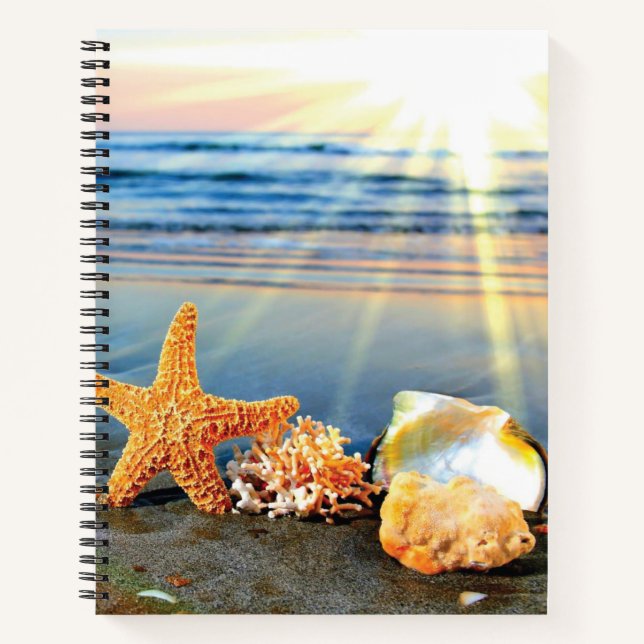 Carnet Coquillages marins et étoiles de mer sur la plage (Devant)