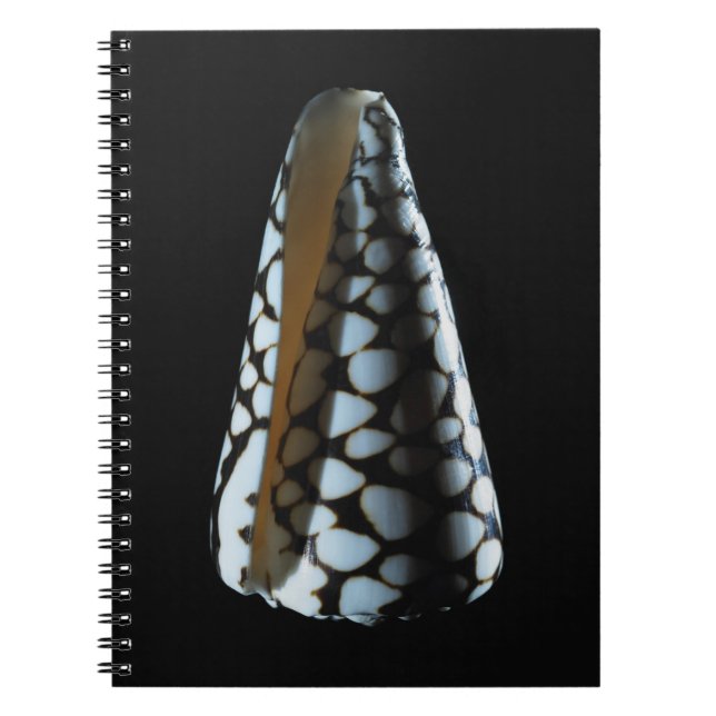 Carnet Coquille 2 de cône (Devant)