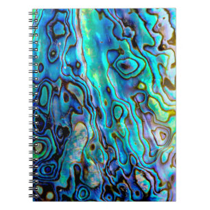 Carnet Coquille d'aluminium