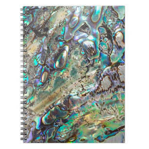 Carnet Coquille de paua de reine