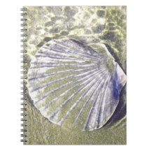 Coquille d'huître sous-marine