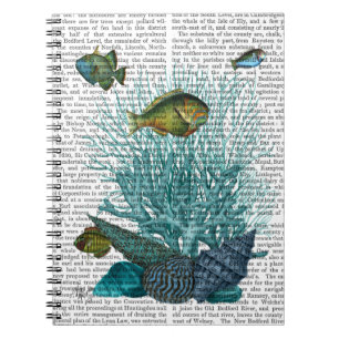Carnet Coquilles et coraux bleus de poissons