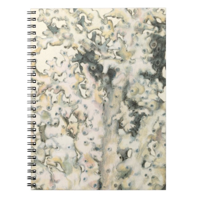 Carnet Corail d'aquarelle antique (Devant)