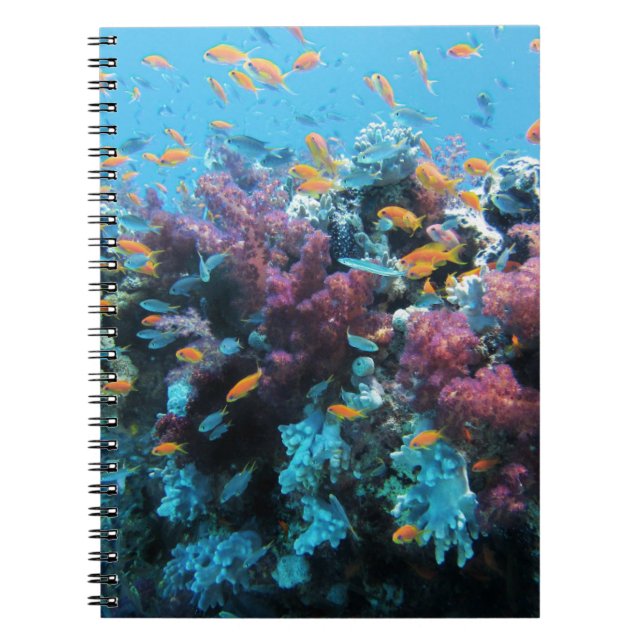 Carnet Corail rose (Devant)