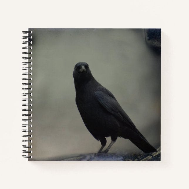 Carnet Corbeau foncé (Devant)