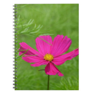 Carnet Cosmos