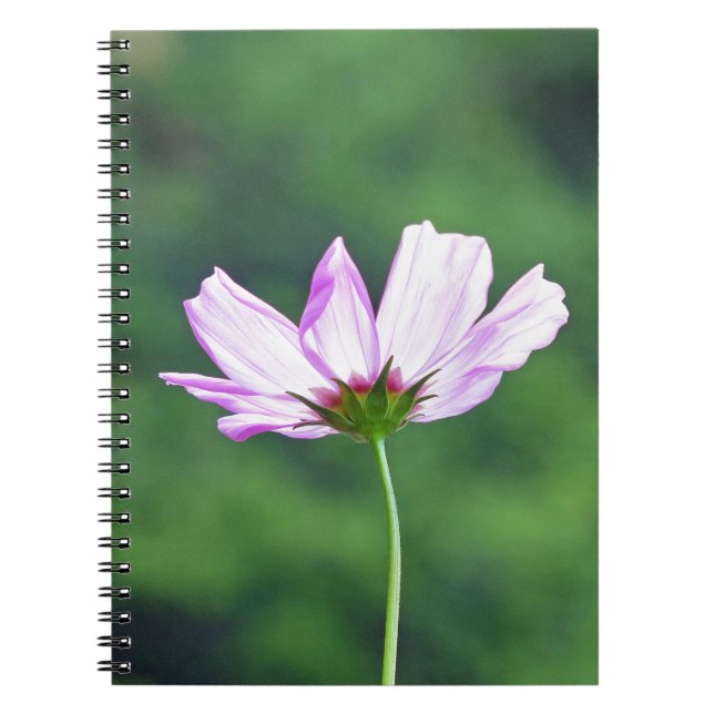 Carnet Cosmos (Devant)