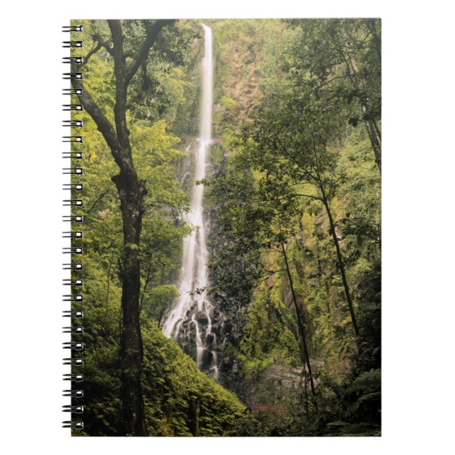 Carnet Costa Rica, île de Cocos, cascade de la baie de Wa (Devant)