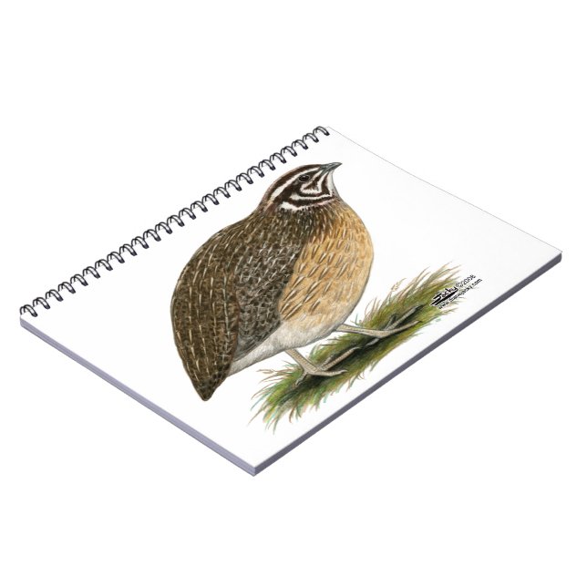Carnet Coturnix Pharaoh (Côté gauche)