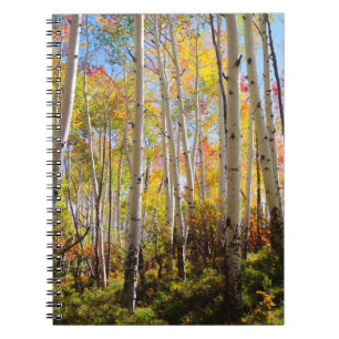 Carnet Couleurs d'automne des arbres d'Aspen 5