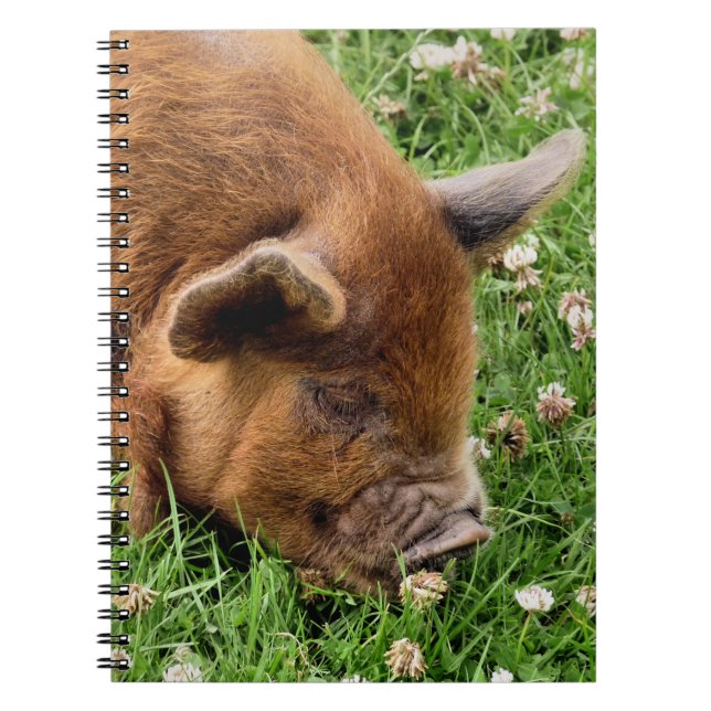 CARNET COUPER (Devant)