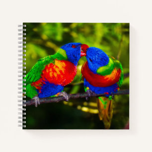 Carnet Couple coloré de perroquets de baiser